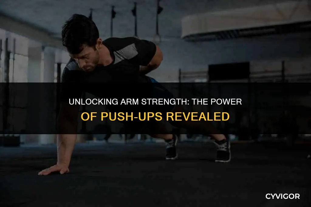 do push ups build arm muscle