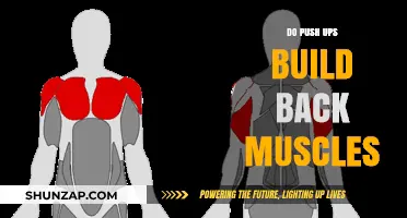 Strengthening Your Back: The Power of Push-Ups Revealed
