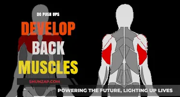 Strengthening Your Back: The Surprising Benefits of Push-Ups