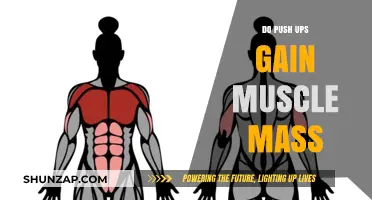 Push Ups for Muscle Mass: Effective or Overrated?