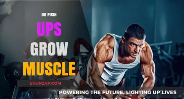 Push Ups for Muscle Growth: Effective or Overrated?