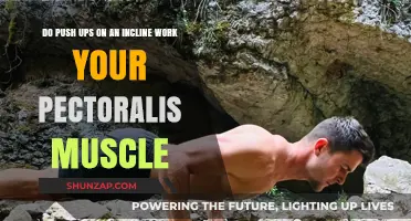 Incline Push-Ups: Effective Pectoralis Muscle Workout or Myth?