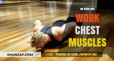 Push Ups: Effective Chest Muscle Builder or Just a Myth?