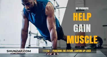 Pushups for Muscle Gain: Effective Bodyweight Exercise or Myth?