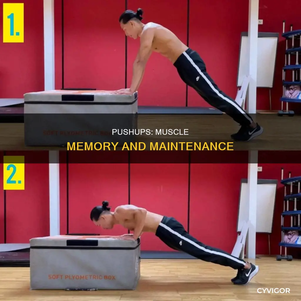 do pushups keep muscles