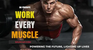 Pushups: Full-Body Workout or Just for Arms and Chest?