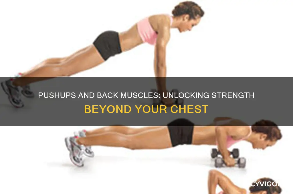 do pushups work your back muscles