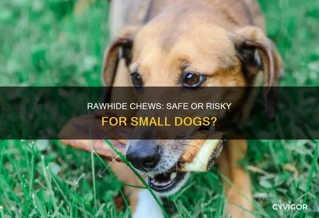 do rawhides cause muscle spasms in small digs