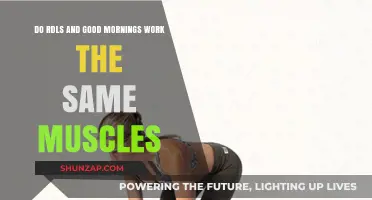 RDLs vs. Good Mornings: Which Muscles Do They Target?