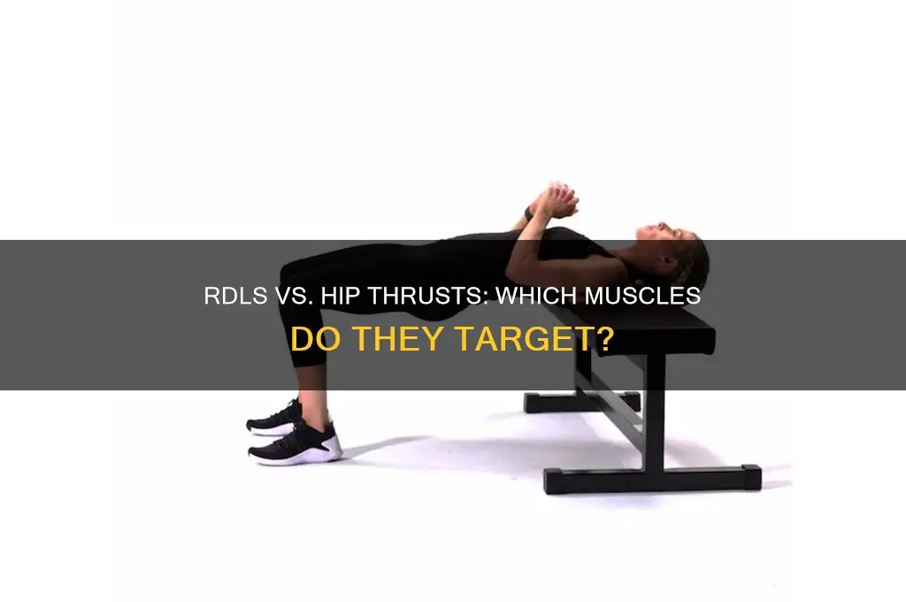 do rdls and hip thrusts work the same muscles