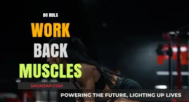 Do RDLs Effectively Target and Strengthen Your Back Muscles?