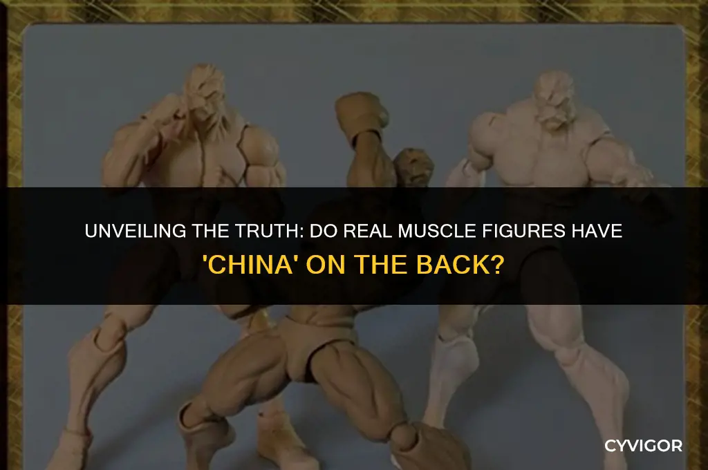 do real muscle figures have china on the back