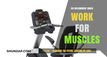 Recumbent Bikes: Effective Muscle Workout or Just a Comfortable Ride?