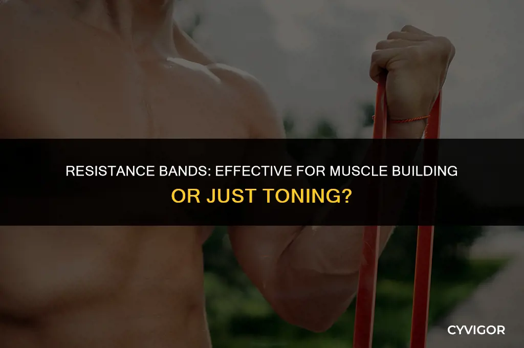 do resistance bands build muscle or tone