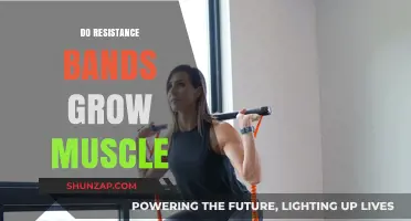 Can Resistance Bands Effectively Build Muscle? A Comprehensive Guide
