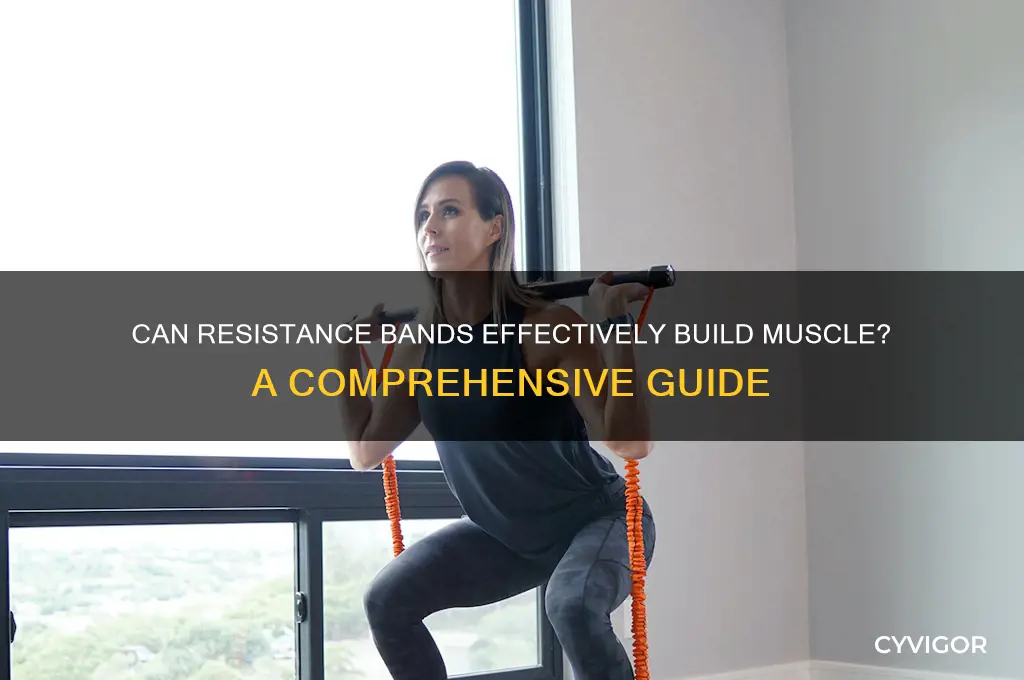 do resistance bands grow muscle