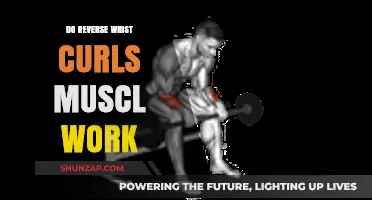 Reverse Wrist Curls: Targeted Muscles and Effective Workout Benefits