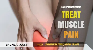 Do Rheumatologists Treat Muscle Pain? Expert Insights Explained