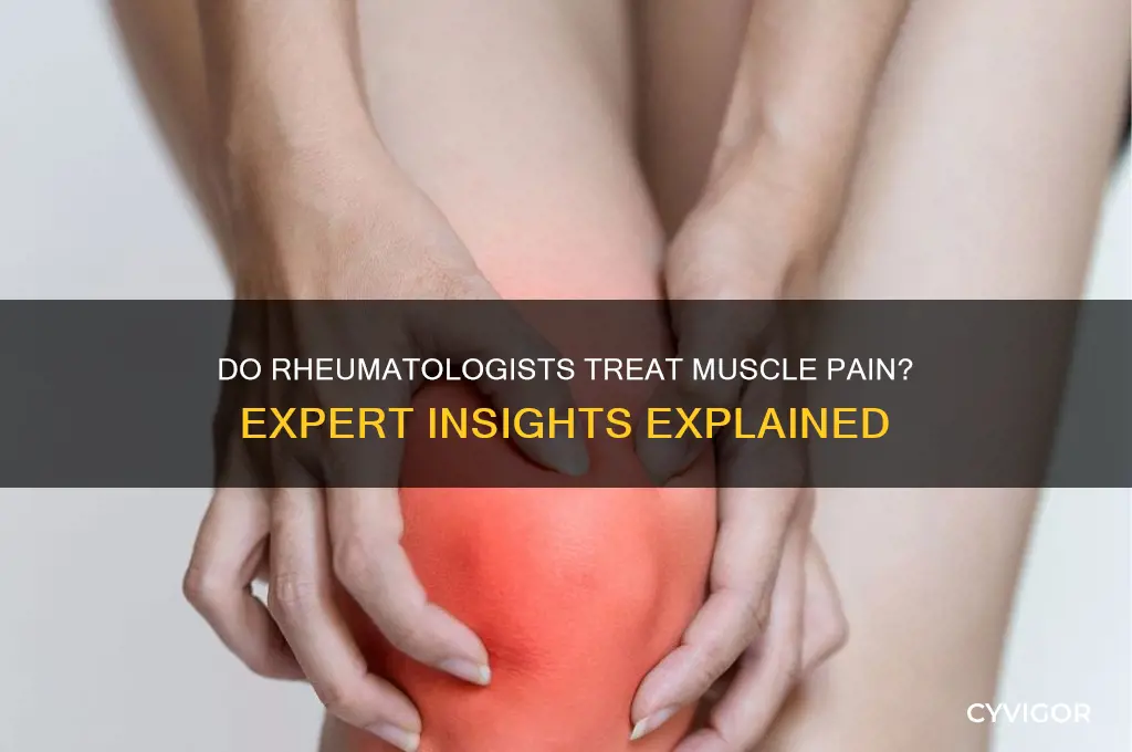 do rheumatologists treat muscle pain