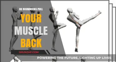 Roundhouse Kicks and Muscle Strain: Debunking the Pull-Back Myth