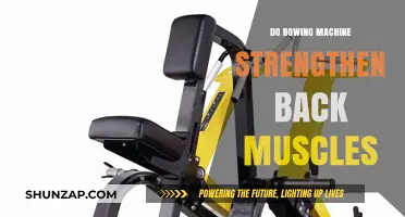 Rowing Machine Benefits: Strengthening Your Back Muscles Effectively