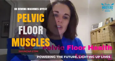 Rowing Machines and Pelvic Floor Health: What You Need to Know