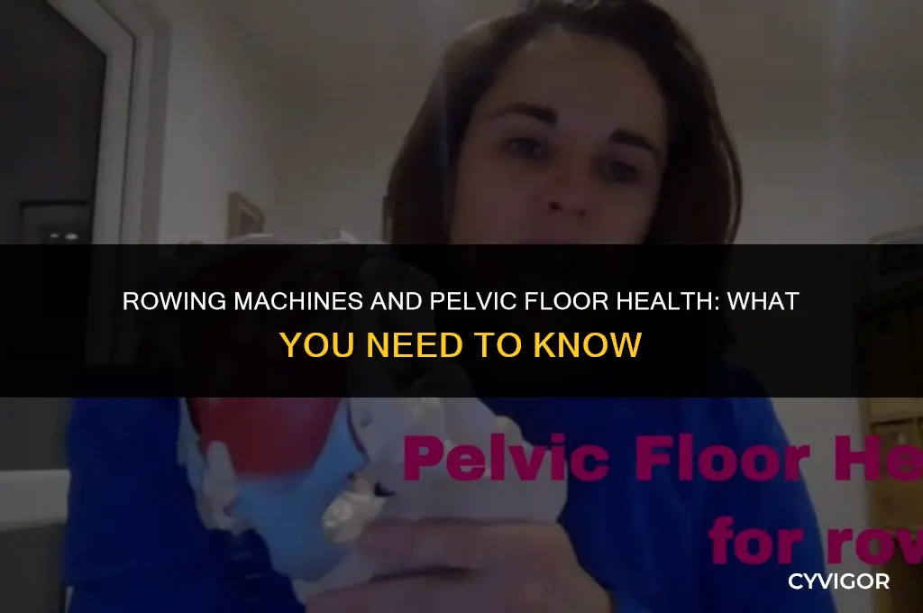 do rowing machines affect pelvic floor muscles