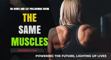 Rows vs. Lat Pulldowns: Targeting the Same Muscles or Different?