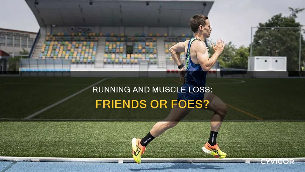 do running cause muscle loss