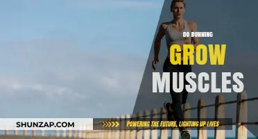 Does Running Build Muscle? Unlocking the Truth About Muscle Growth