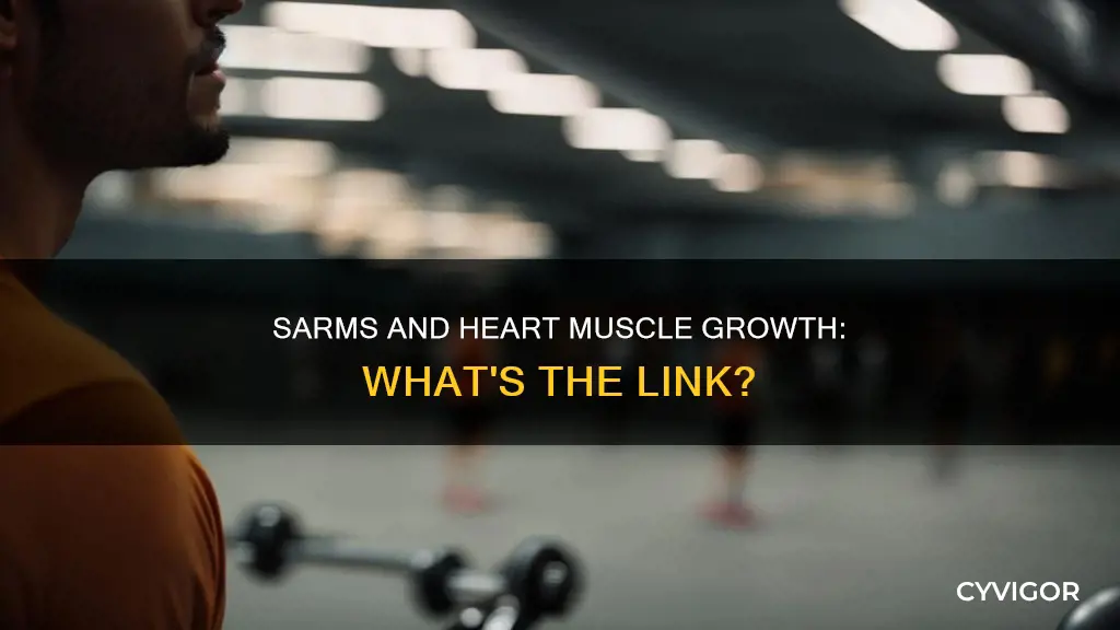 do sarms cause heart muscle growth