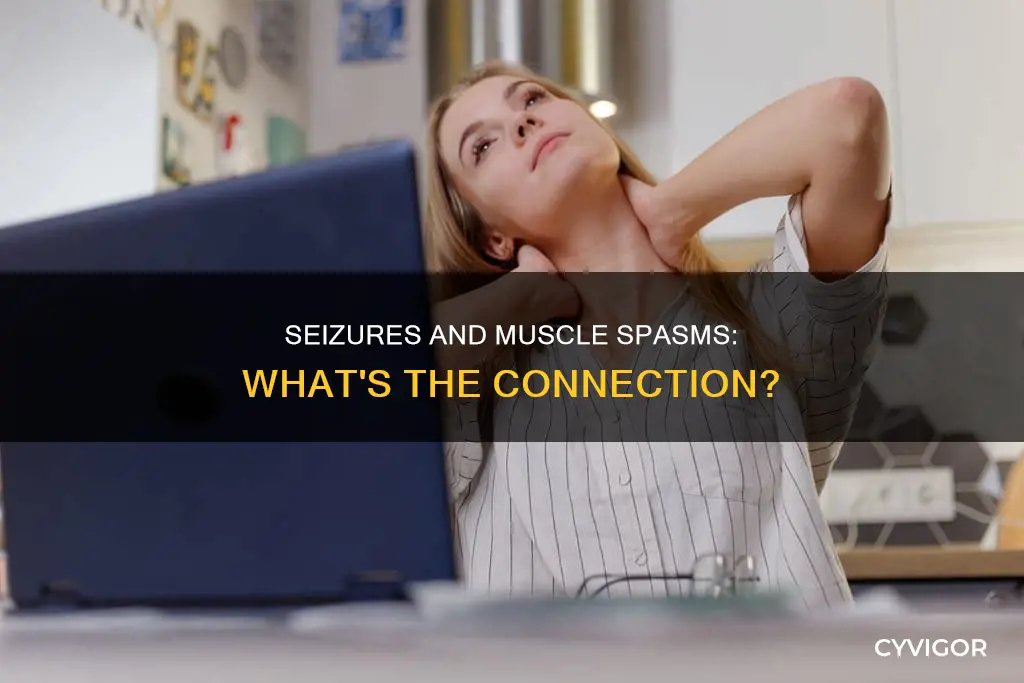 do seizures cause muscle spasms in back and chest
