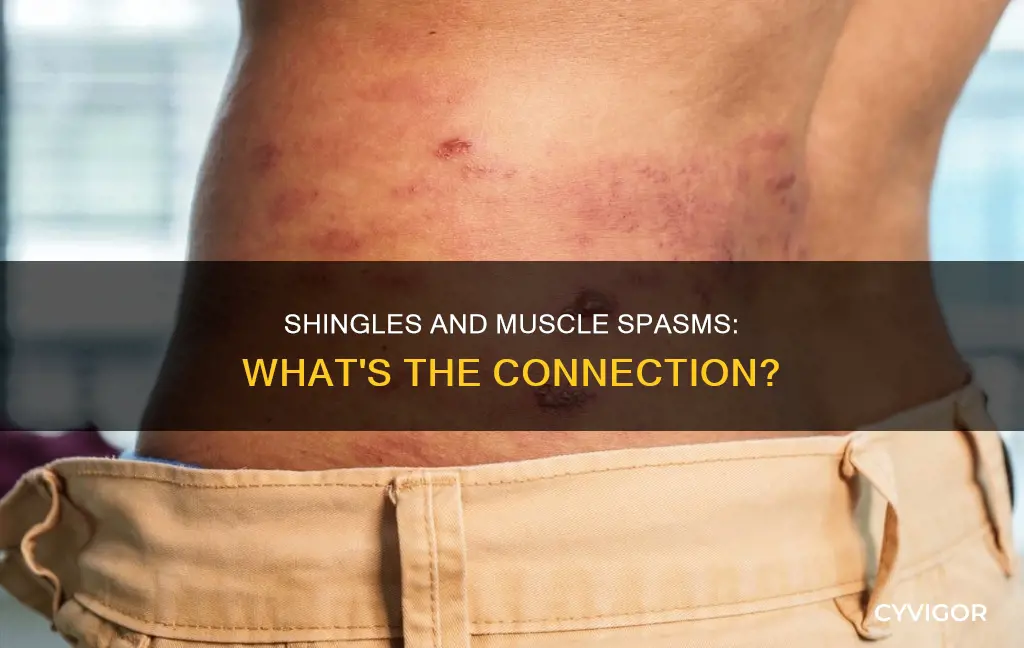 do shingles cause muscle spasms