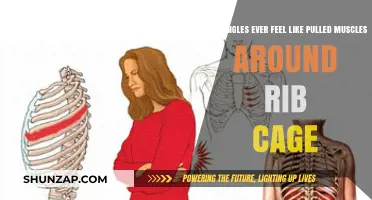 Shingles vs. Pulled Muscles: Rib Cage Pain Explained