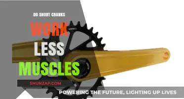 Do Short Cranks Reduce Muscle Engagement in Cycling?