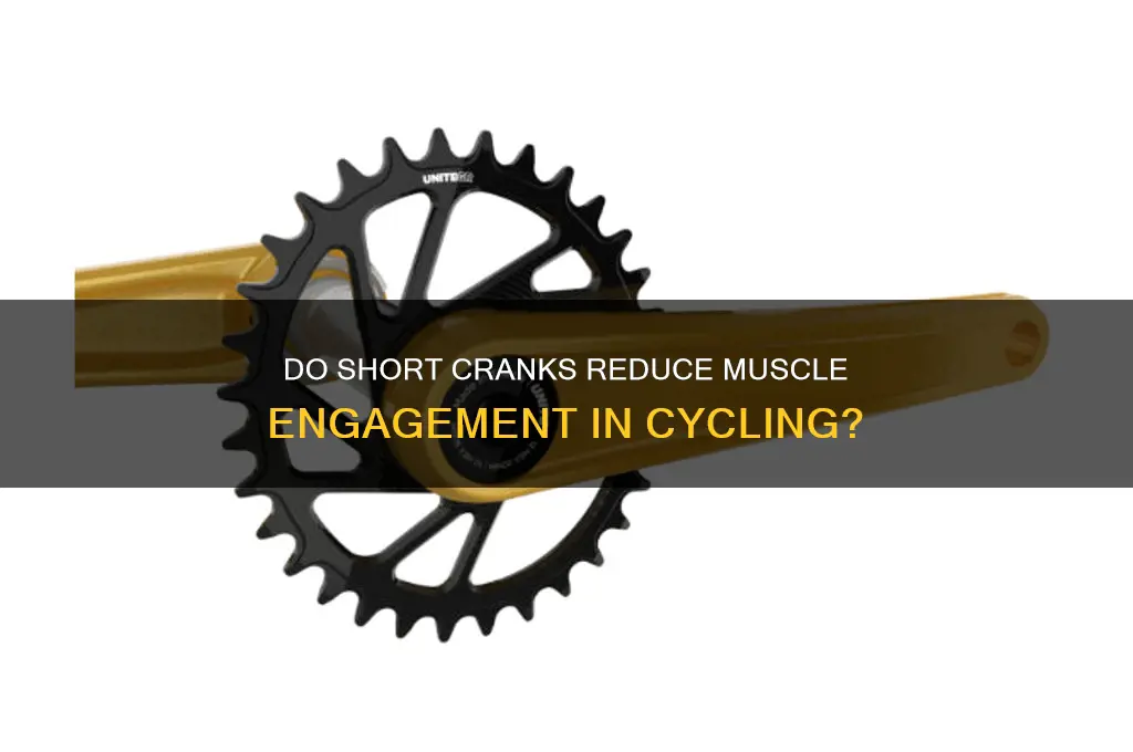 do short cranks work less muscles