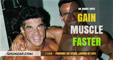 Do Shorter Men Build Muscle Quicker? Uncovering the Truth