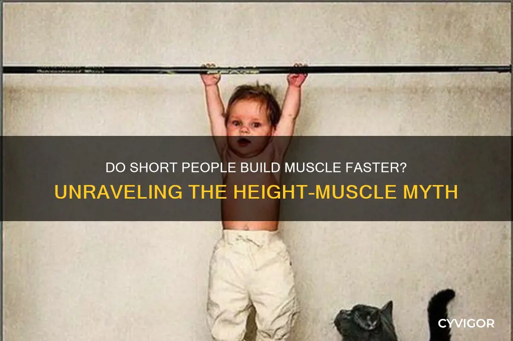 do short people grow muscle faster