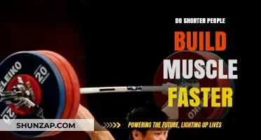 Can Shorter Individuals Build Muscle More Rapidly? The Science Unveiled
