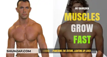 How Fast Do Shoulder Muscles Grow? Training Tips and Facts
