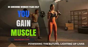 Shredding Workout Plans: Effective for Muscle Gain or Just Fat Loss?