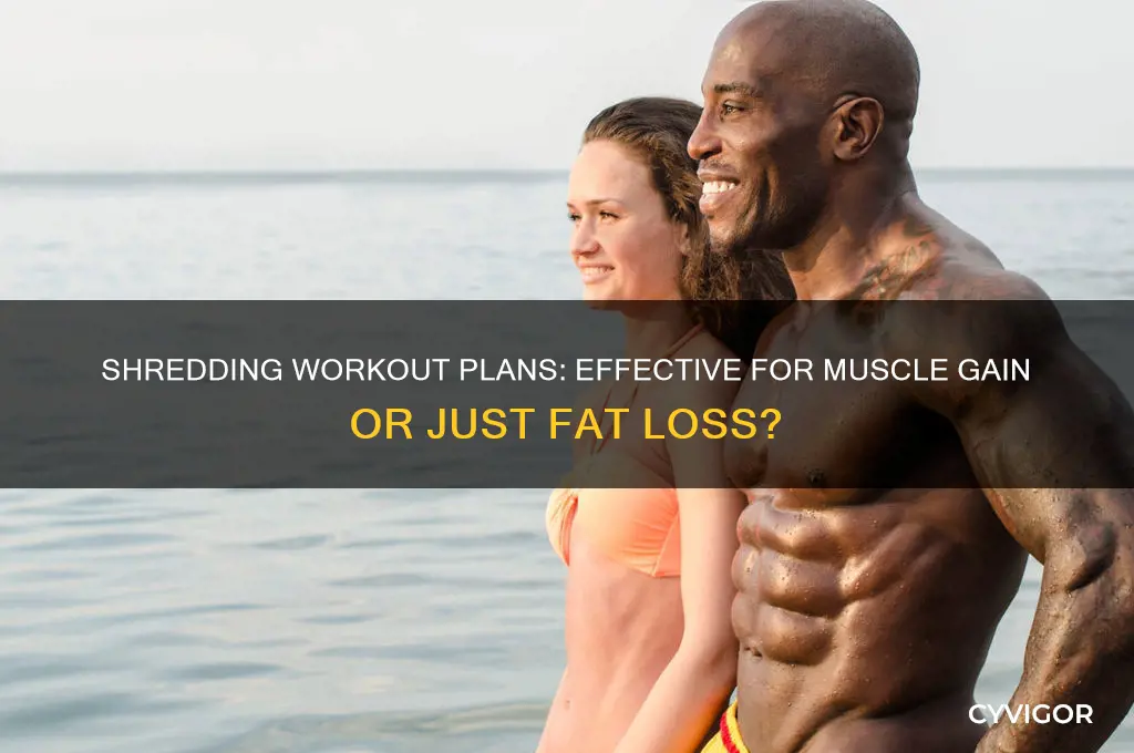 do shredding workout plans help you gain muscle