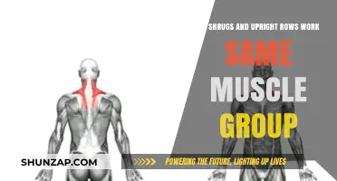 Shrugs vs. Upright Rows: Targeting the Same Muscles or Different?
