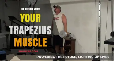 Do Shrugs Effectively Target Your Trapezius Muscle? Find Out Here