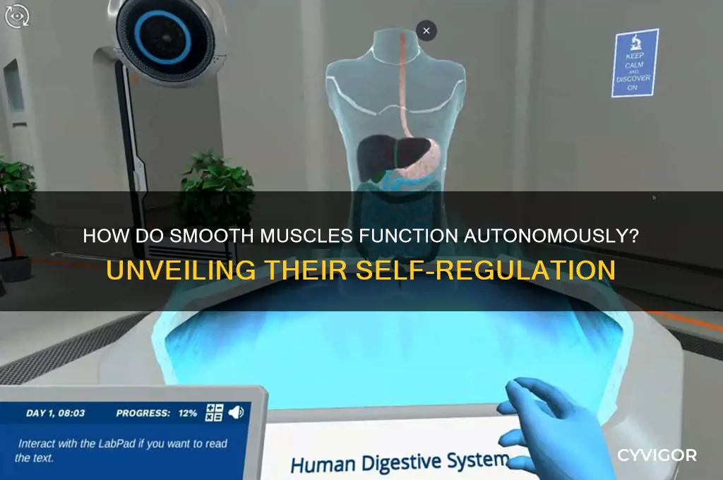 do smooth muscles work by themselves