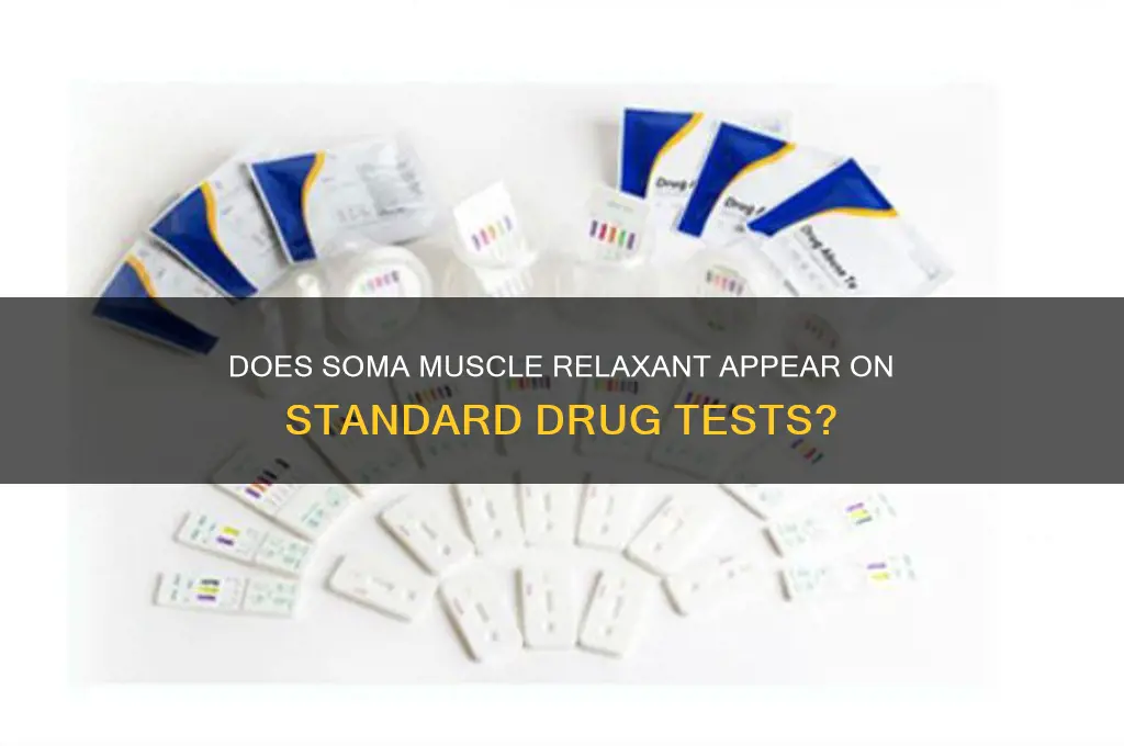 do soma muscle relaxant show up on drug tests