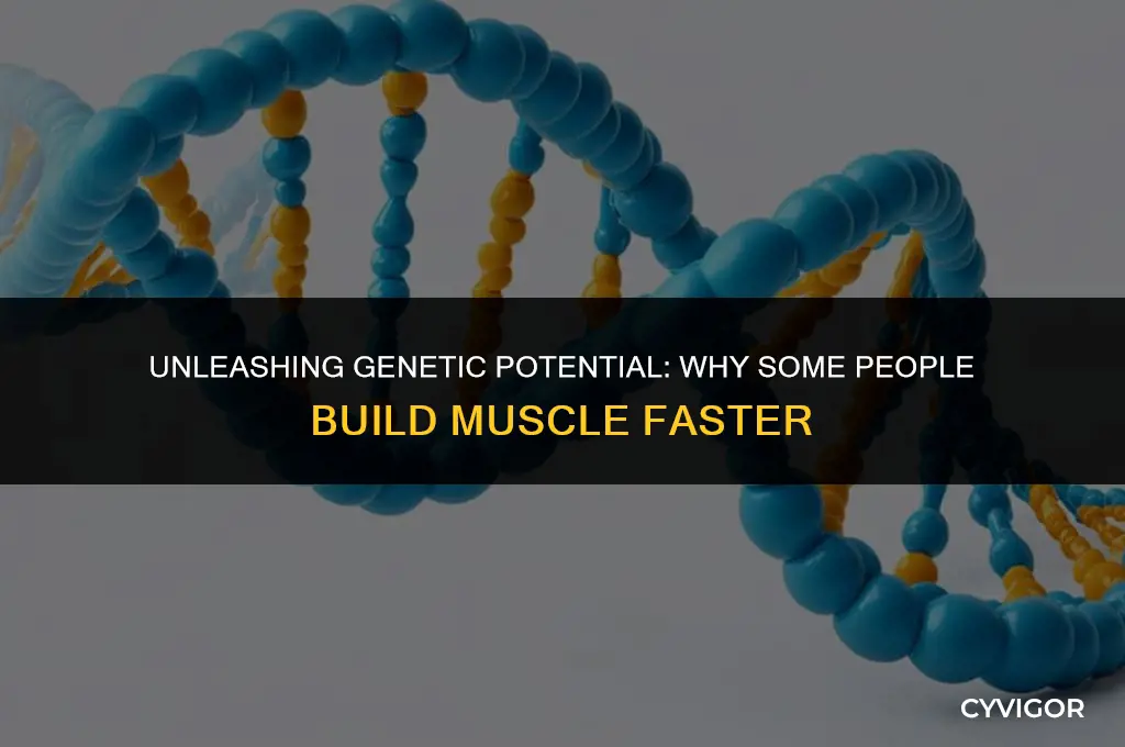 do some people build muscle faster