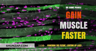 Why Some People Build Muscle Faster: Genetics, Training, and Recovery