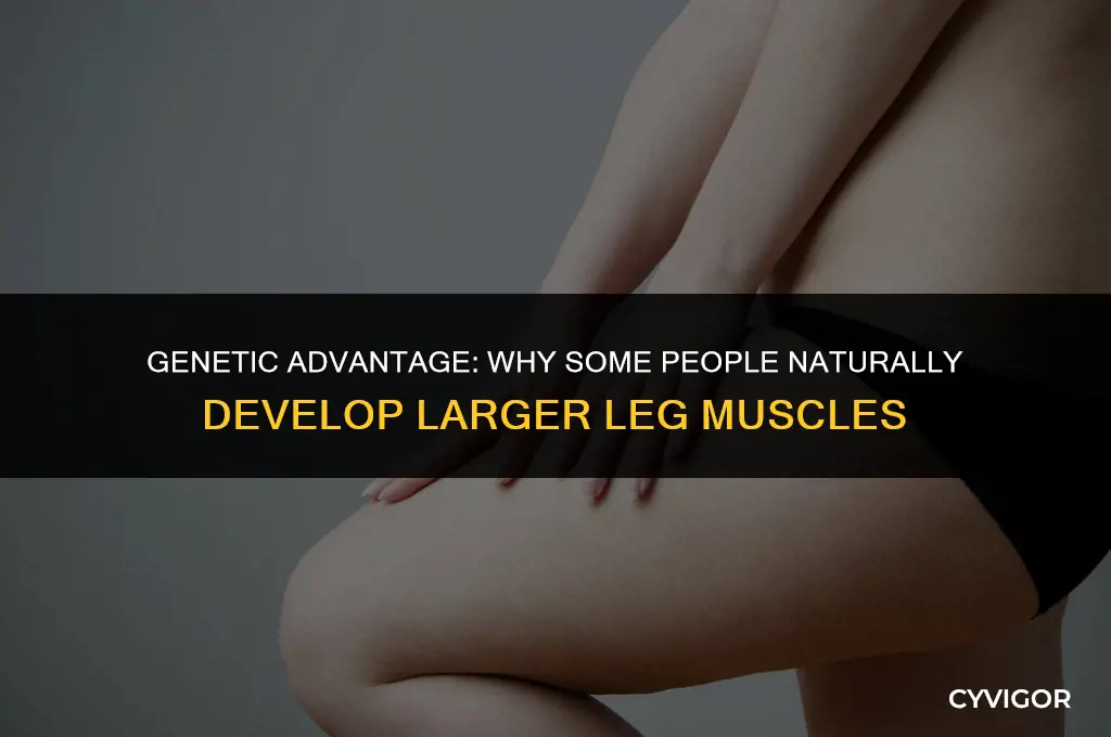 do some people get bigger leg muscles by design