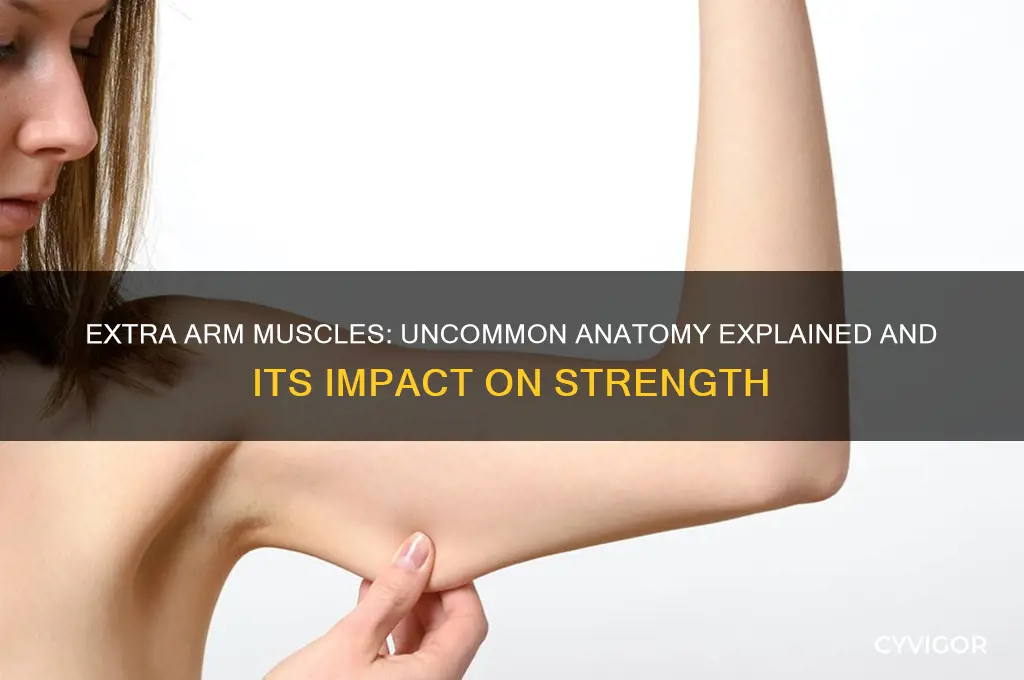 do some people have extra muscles in there arm